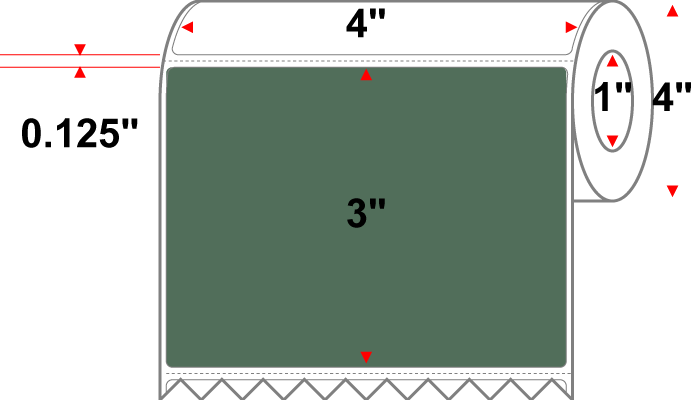 4 X 3 Premium Paper Direct Thermal Label - Perforated - PMS 357 Dark Green 357 - 4" Roll - Permanent