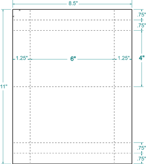 6" X 4" Laser/Inkjet Label-2 Per Sheet, 250 Sheets Per Pack, White, Permanent