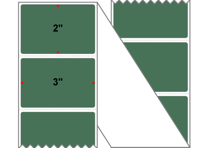 Fanfolded - 3 X 2 Premium Paper Thermal Transfer Label - PMS 349 Forest Green 349 - Permanent