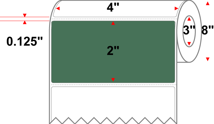 4 X 2 Premium Paper Thermal Transfer Label - Perforated - PMS 349 Forest Green 349 - 8" Roll - Permanent
