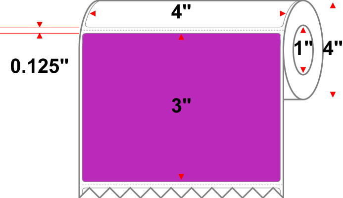 4 X 3 Premium Paper Thermal Transfer Label - Perforated - Pantone Purple Pantone Purple - 4" Roll - Permanent