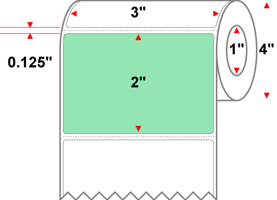 3 X 2 Premium Paper Direct Thermal Label - Perforated - PMS 351 Light Green 351 - 4" Roll - Permanent
