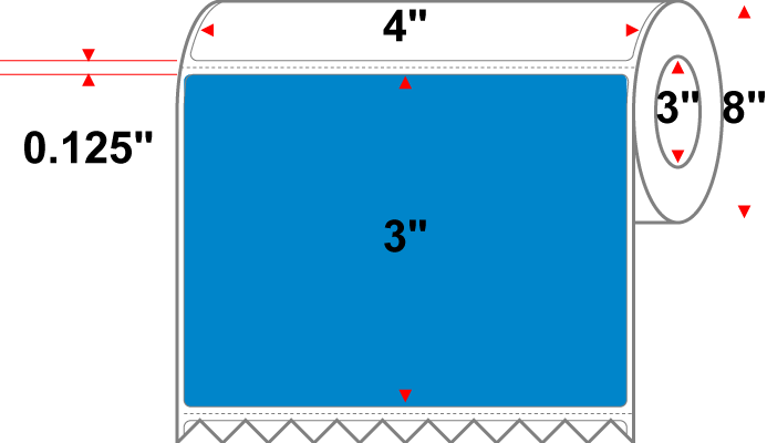 4 X 3 Premium Paper Thermal Transfer Label - Perforated - Process Blue Process Blue - 8" Roll - Permanent